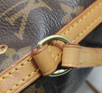 Louis Vuitton Nano Noé Monogram Canvas