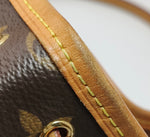 Louis Vuitton Nano Noé Monogram Canvas