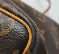 Louis Vuitton Nano Noé Monogram Canvas