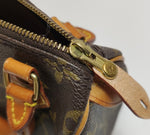 Louis Vuitton Monogram Speedy Nano Bag